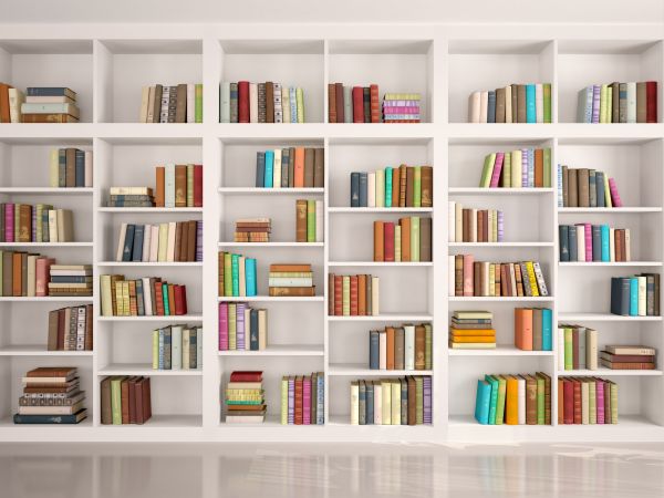 Bookshelf Assembly in Arlington Heights