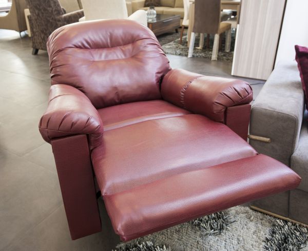 Recliner Assembly in Arlington Heights
